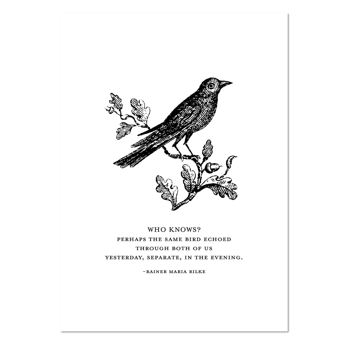 The Same Bird – 5×7 Art Print