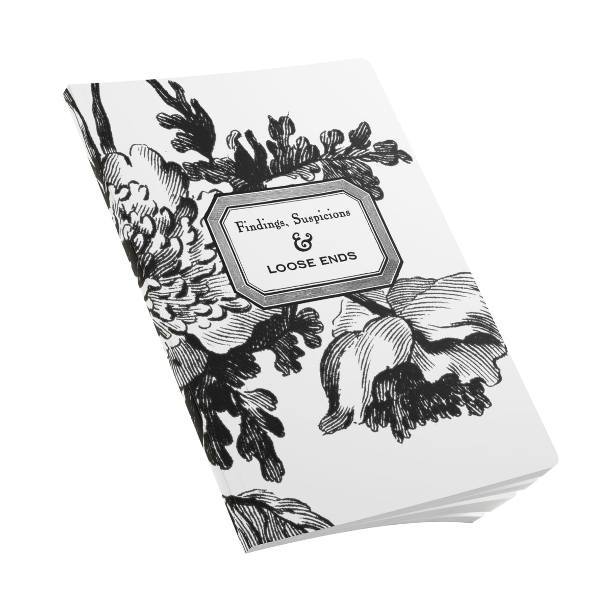 Findings, Suspicions & Loose Ends Notebook