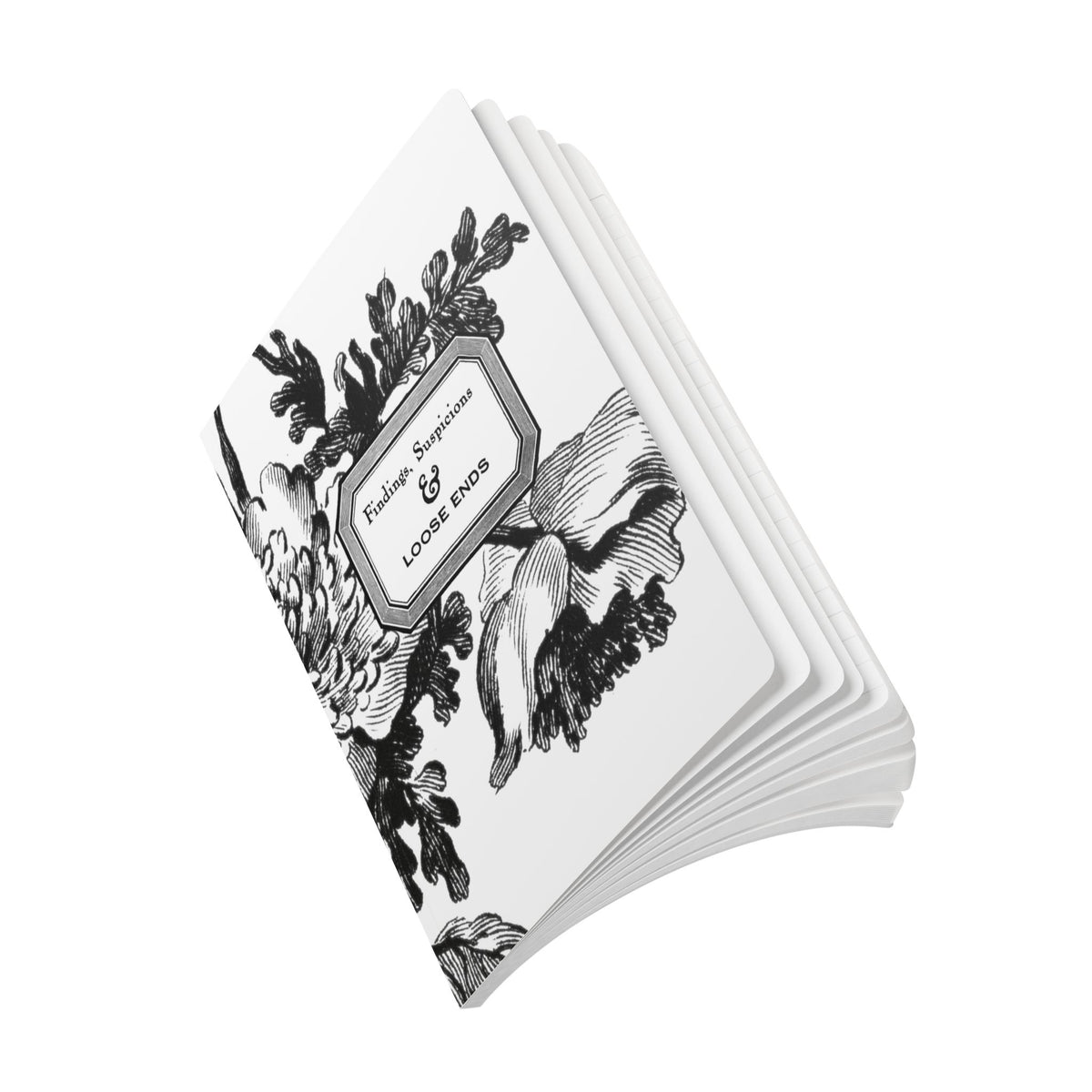 Findings, Suspicions & Loose Ends Notebook