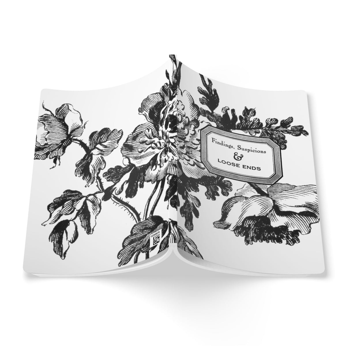 Findings, Suspicions & Loose Ends Notebook