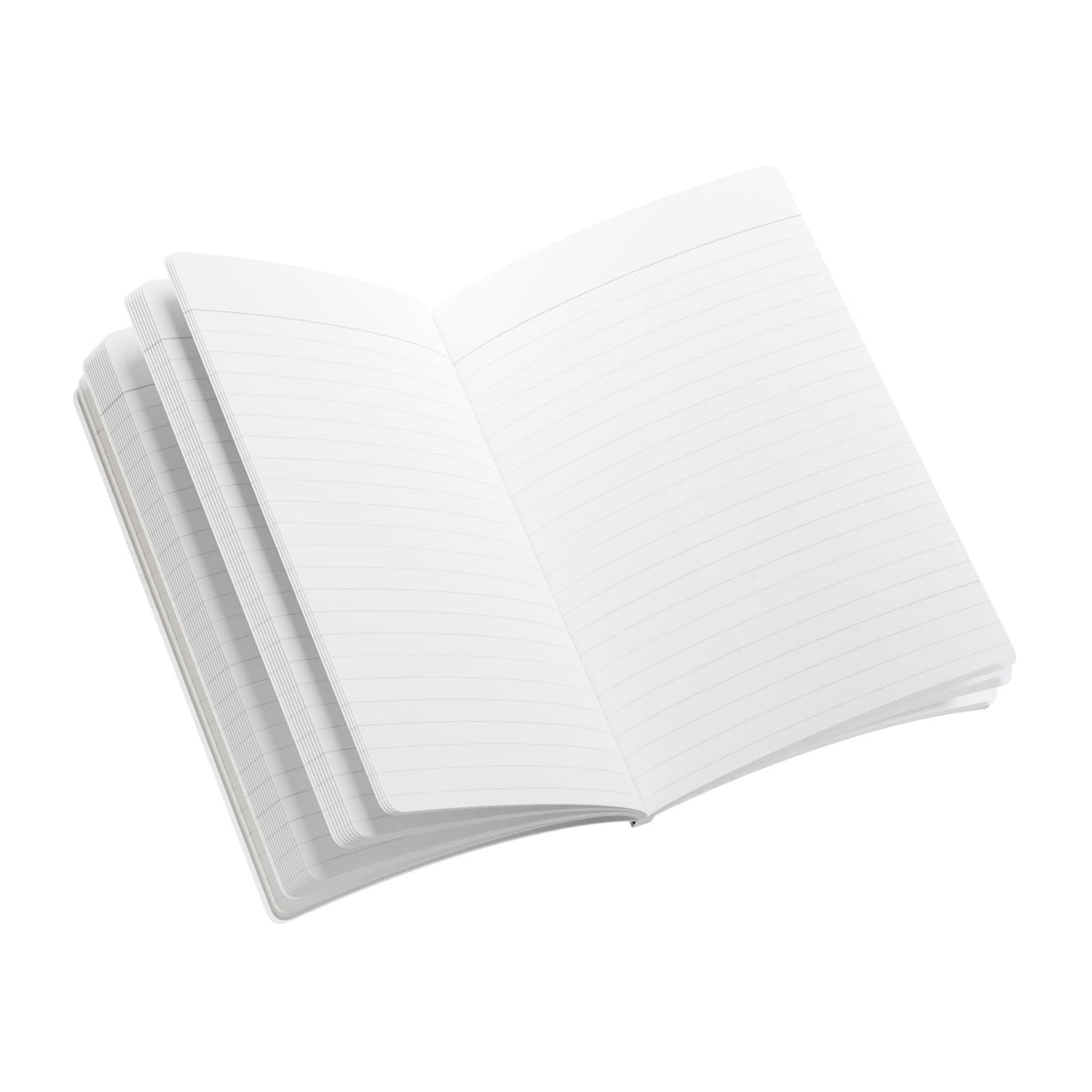 Findings, Suspicions & Loose Ends Notebook