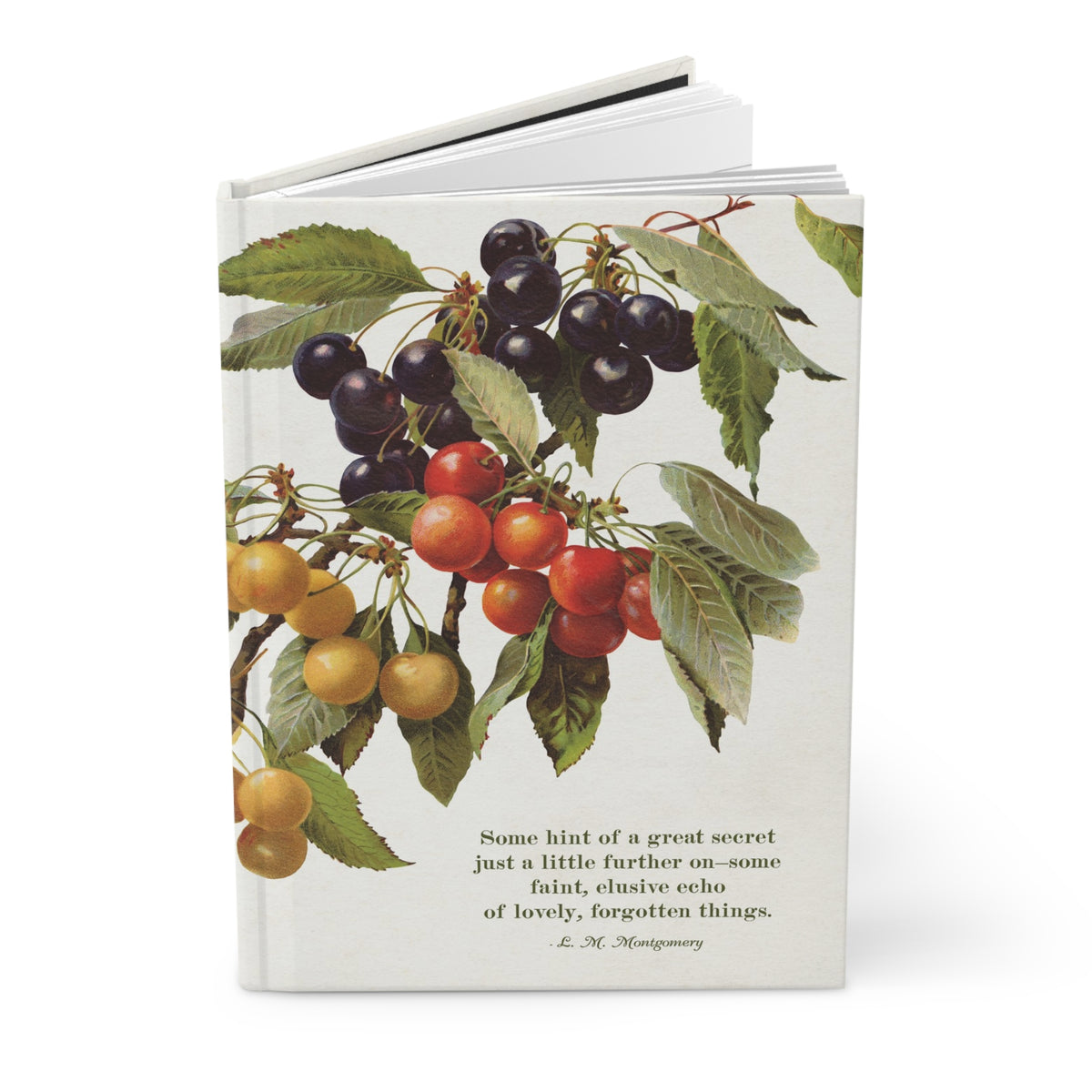 The Lovely Forgotten Things Hardcover Journal