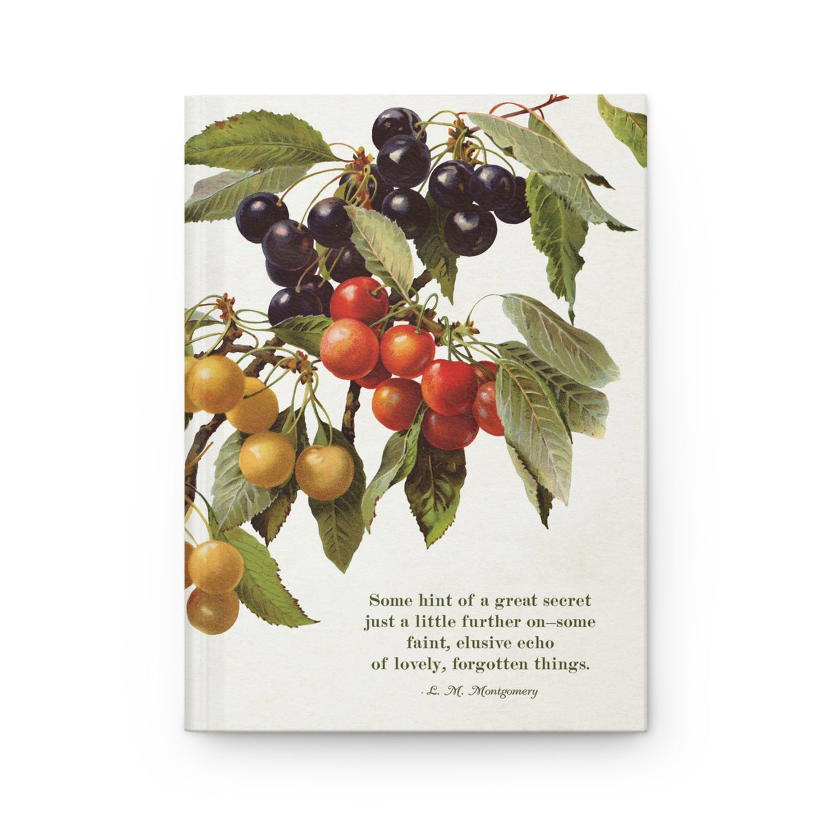 The Lovely Forgotten Things Hardcover Journal