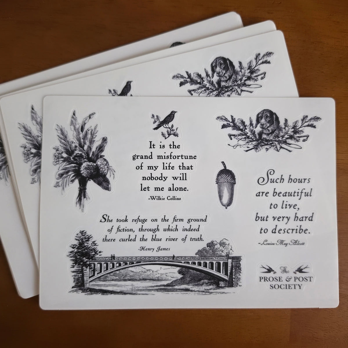 The Firm Ground of Fiction Sticker Sheet