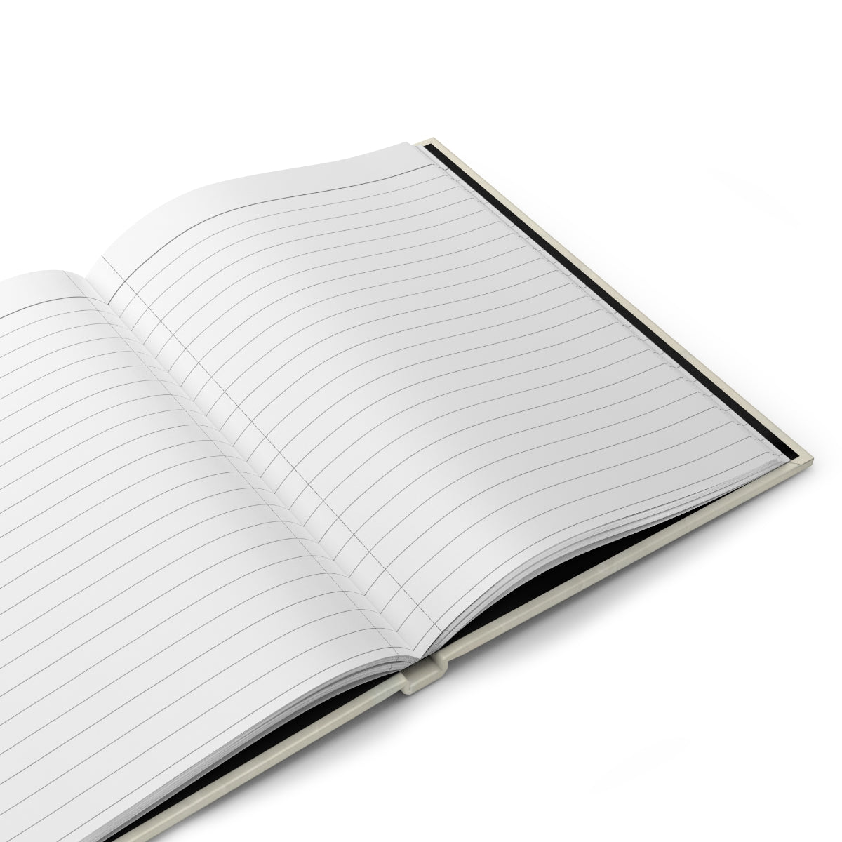 Notes for the Ongoing Investigation Hardcover Journal